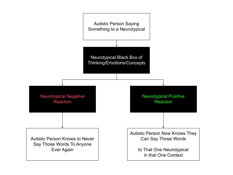 Flow chart with 6 boxes. Top box: Autistic person saying something to a neurotypical. Next box - Neurotypical black box of thinking/emtoions/concepts. Box 1A - Neurotypical Negative Reaction, Box 2A - Autistic person knows to never say those words to anyone ever again. Box 1B - Neurotypical positive reaction. Box 2B - Autistic person knows they can say those words to that one neurotypical in that one context.