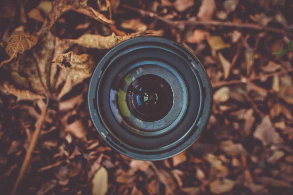 camera lens buried leaves
